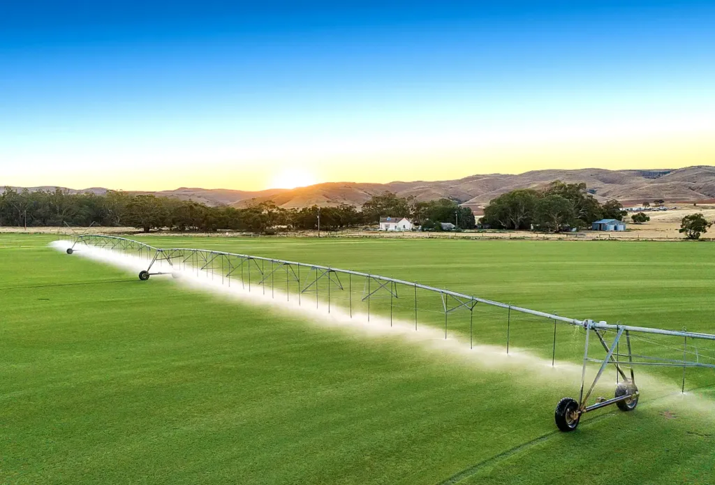 Lush green turf across Perth
